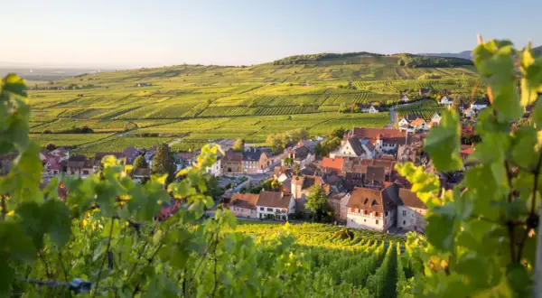 Vue d'un village pittoresque sur la route des vins d'Alsace, entouré de vignobles verdoyants baignés de soleil.