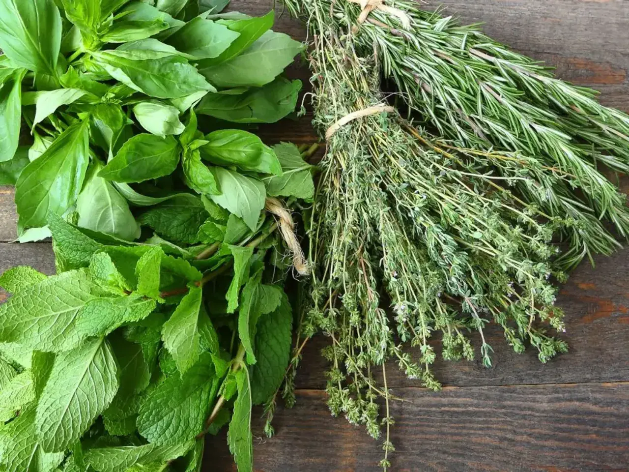 Un bouquet de basilic frais, de menthe et de thym, avec du romarin en arrière-plan. Chaque feuille aromatisée promet des saveurs intenses pour vos plats.