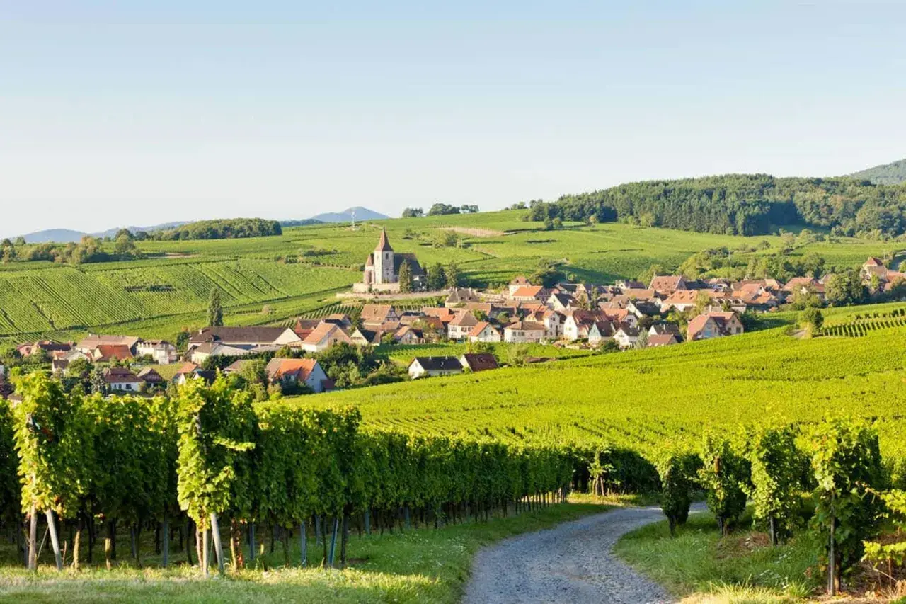 Village alsacien niché au cœur des vignobles verdoyants, typique de la route des vins alsace.