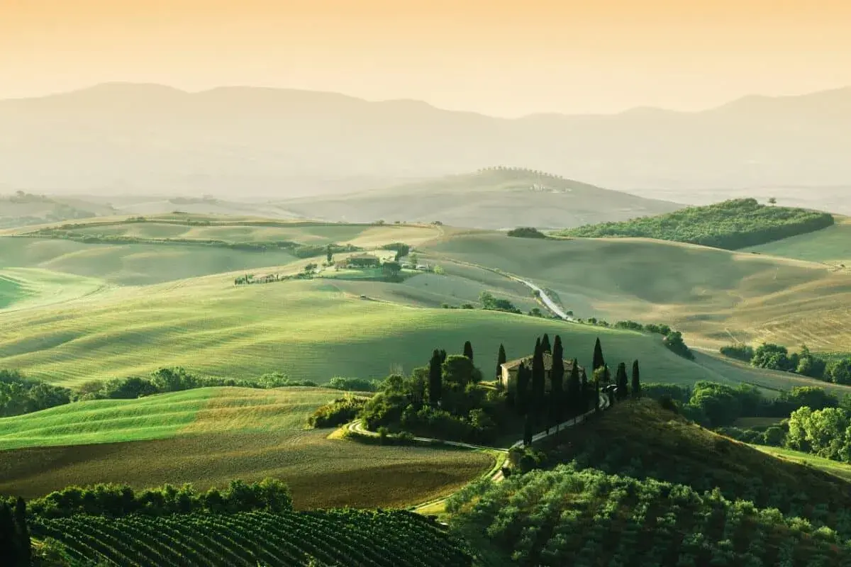 Paysage toscan vallonné avec une ferme, idéal pour l'oenotourisme à Arezzo. Vignes et cyprès bordent les routes sinueuses.