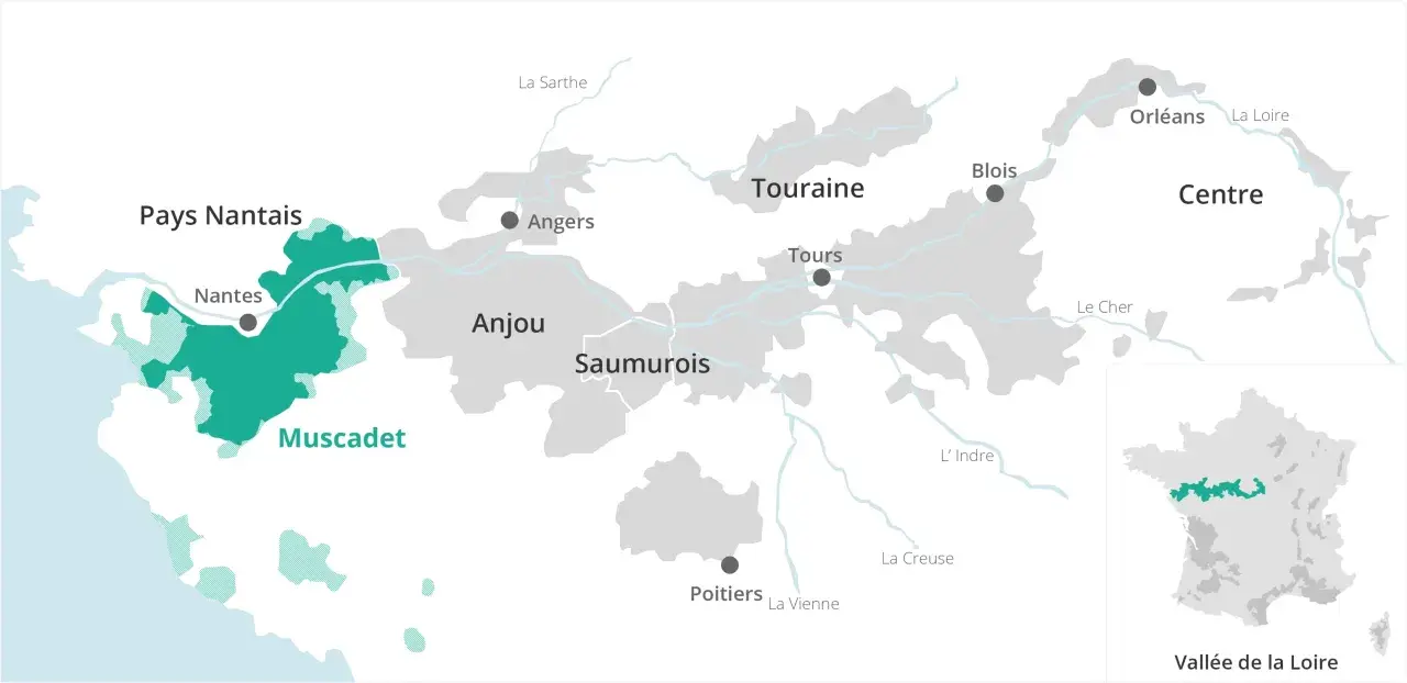 Carte des régions viticoles de la Loire, mettant en évidence le vignoble nantais et le Muscadet.