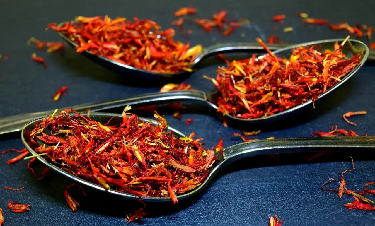 Trois cuillères remplies de filaments rouge orangé, une épice précieuse.