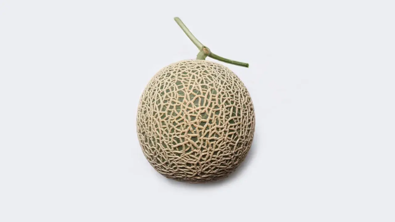 Un melon Yubari King, le fruit le plus cher du monde, avec sa peau finement texturée et sa tige verte, sur fond blanc.