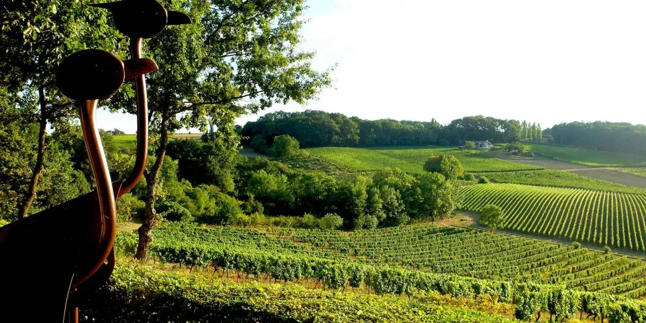 Sculptures d'oiseaux devant un paysage de vignobles verdoyants, &eacute;voquant le c&eacute;page Bergerac blanc.