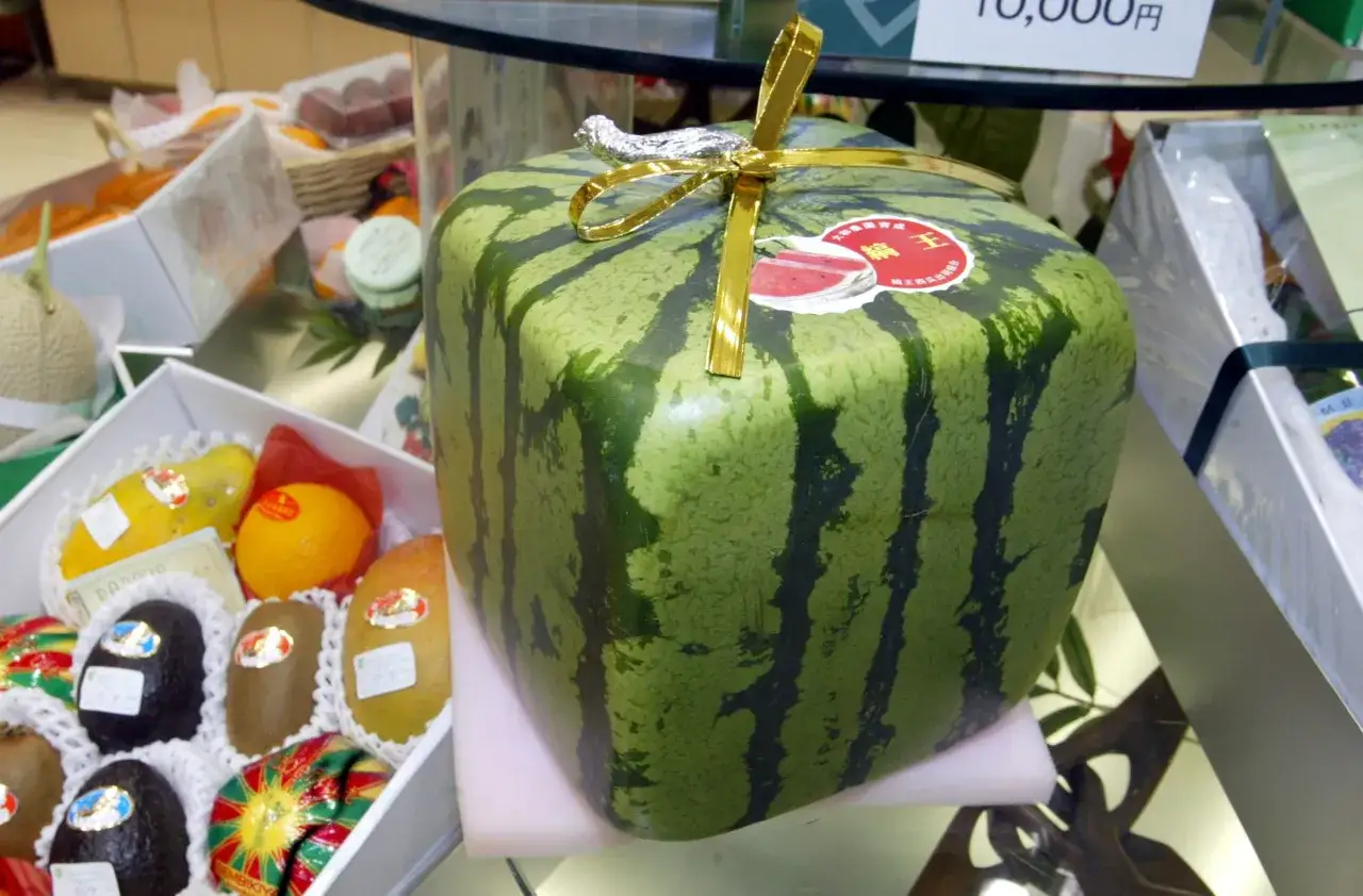 Une pastèque carrée, le fruit le plus cher du monde, est présentée avec un ruban doré. D'autres fruits sont dans des boîtes en arrière-plan.