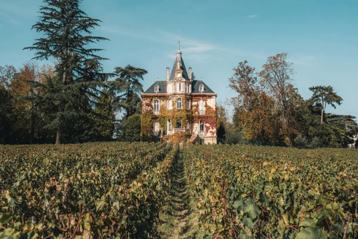 Château majestueux couvert de vigne rouge, au milieu d'un vignoble verdoyant. L'automne approche au caudalie vignoble.