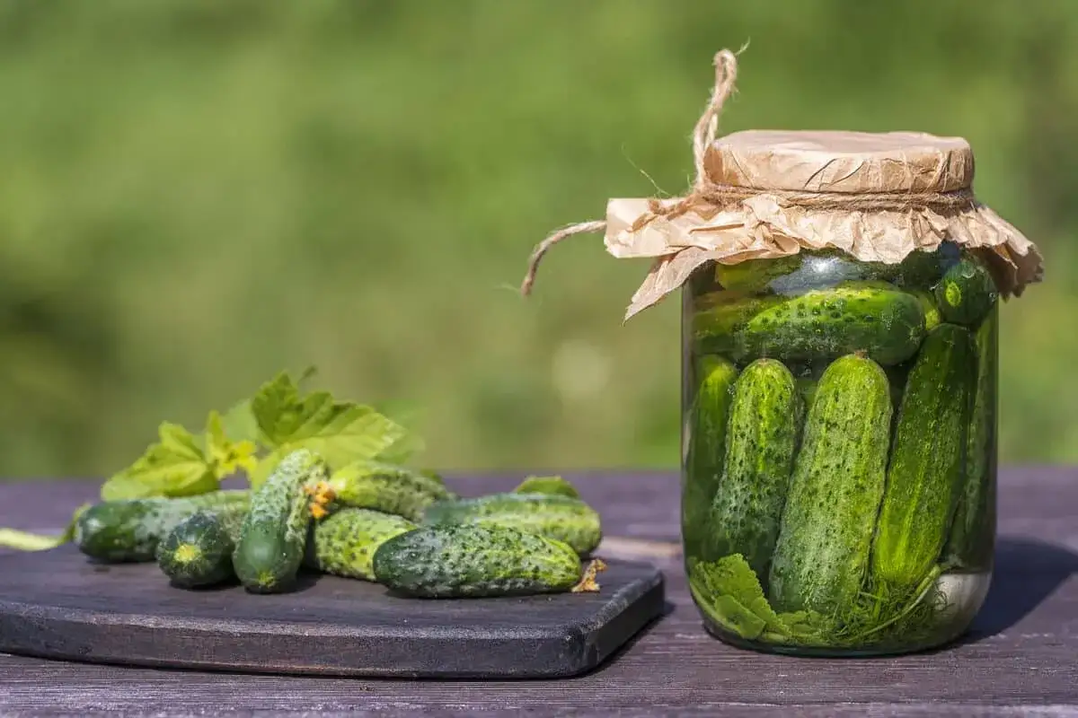 Des concombres frais sur une planche et un bocal rempli de cornichons. Le cornichon est-il un concombre ? Oui, c'est un petit concombre mariné.