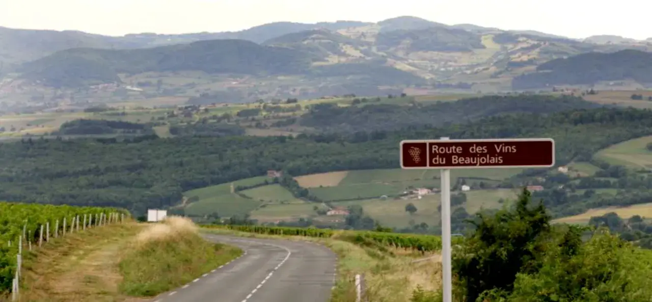 Panoramas vallonnés du Beaujolais, parfaits pour une dégustation vin Beaujolais. La route serpente à travers les vignobles.