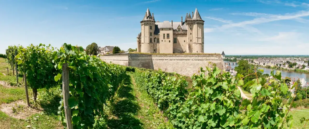 Vignoble verdoyant menant &agrave; un majestueux chateau vaudois, surplombant une ville et une rivi&egrave;re sous un ciel bleu.