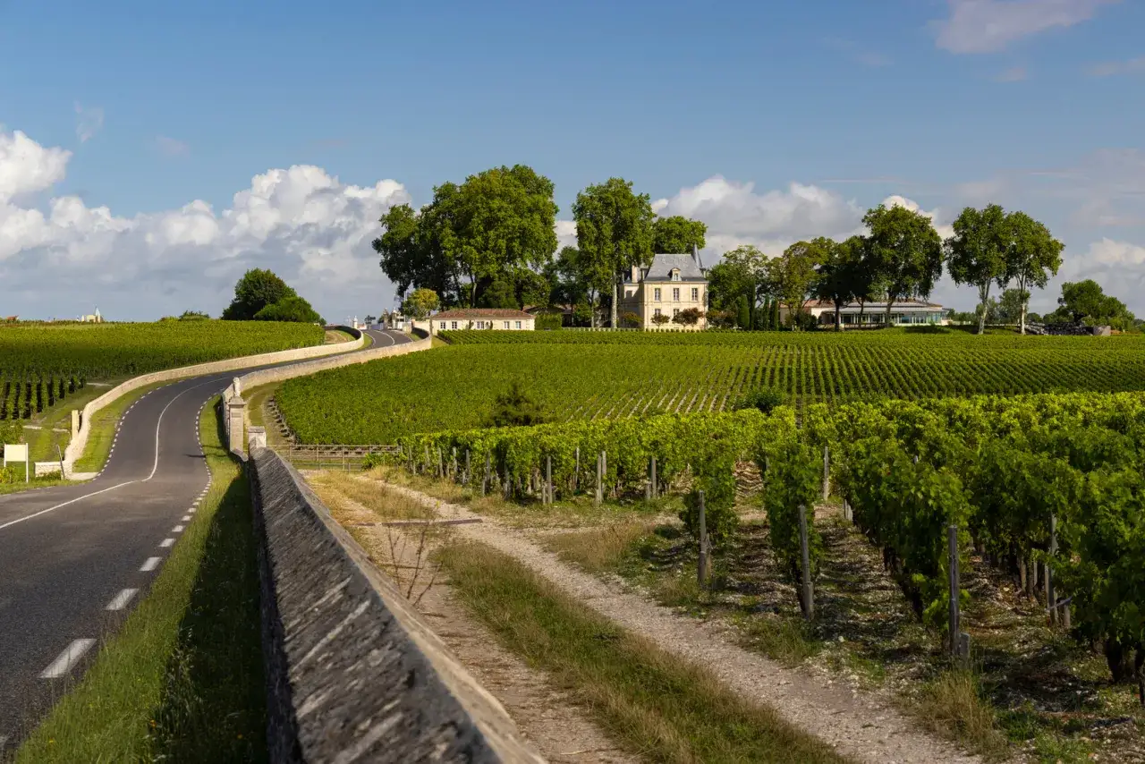 Vue d'un ch&acirc;teau bordelais au milieu des vignes, parfait pour une visite chateau Medoc. La route serpente &agrave; travers le paysage verdoyant.