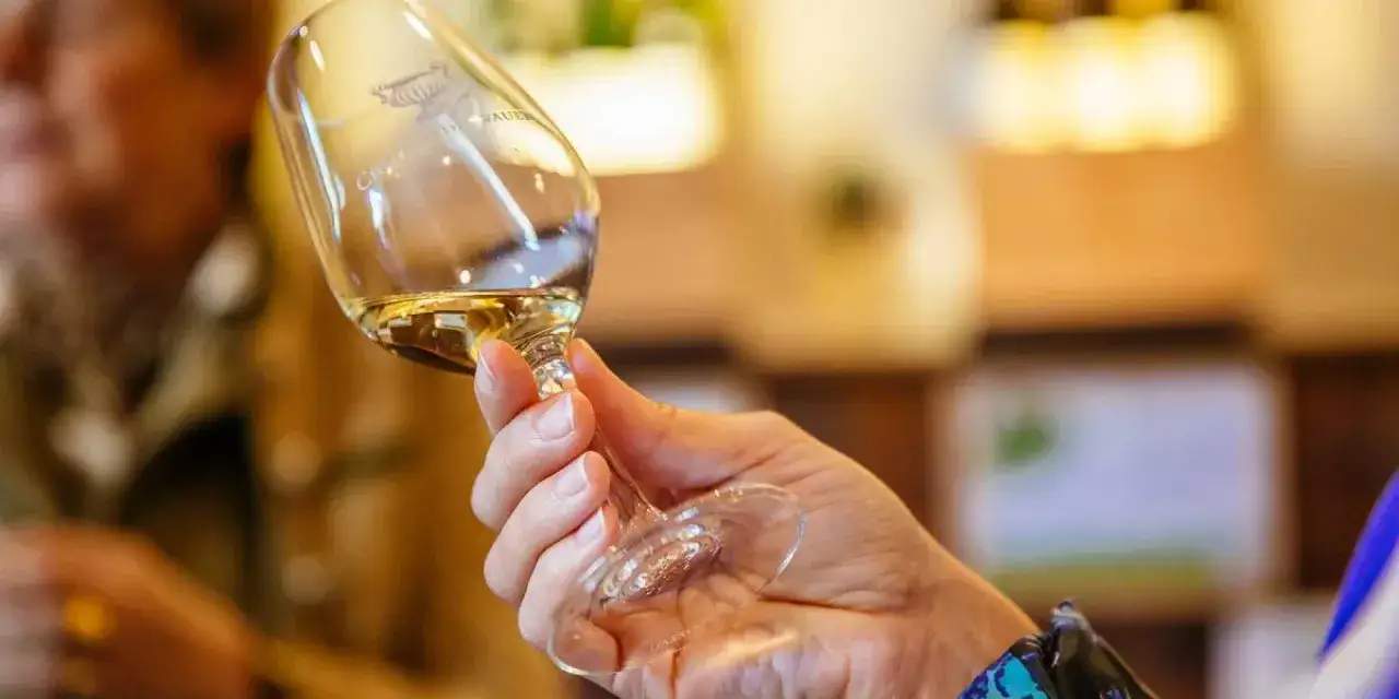 Main tenue en main un verre de vin blanc lors d'une dégustation vin Angers.