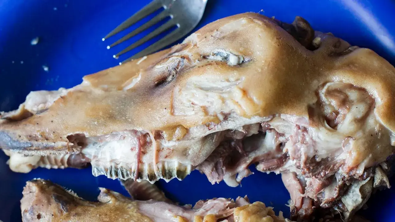 T&ecirc;te de porc cuite sur une assiette bleue, un plat d&eacute;go&ucirc;tant avec une fourchette.