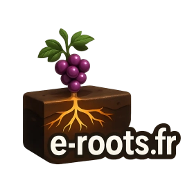 e-roots.fr