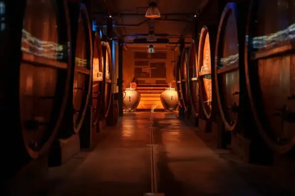 Cave d'Alsace, allées de foudres en bois, ambiance feutrée pour une dégustation vin alsace.