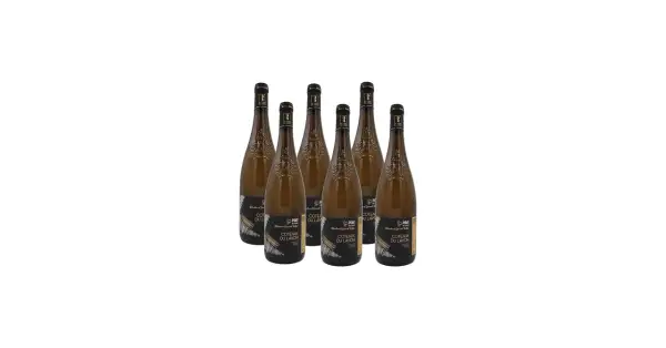 Six bouteilles de vin blanc Coteaux du Layon, prêtes à être dégustées.