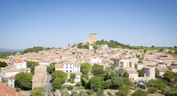 Vue panoramique de Châteauneuf-du-Pape, village pittoresque sur la route des vins, avec son château médiéval dominant les toits ocres et les vignobles.