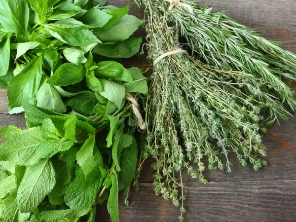 Un bouquet de basilic frais, de menthe et de thym, avec du romarin en arrière-plan. Chaque feuille aromatisée promet des saveurs intenses pour vos plats.