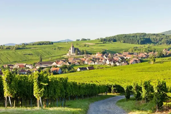 Village alsacien niché au cœur des vignobles verdoyants, typique de la route des vins alsace.