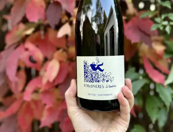Une main tient une bouteille de vin nature Loire, "Atmosphères Jo Landron", devant des feuilles d'automne rouges et vertes.