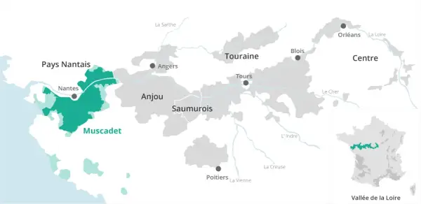 Carte des régions viticoles de la Loire, mettant en évidence le vignoble nantais et le Muscadet.
