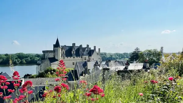 Vue d'un château sur une colline, avec des fleurs rouges au premier plan. Une belle journée pour une visite à Saumur.