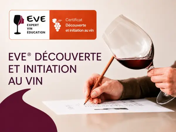 Un cours d'oenologie pour découvrir et s'initier au vin. Un verre de vin rouge est tenu par une main, tandis qu'une autre écrit sur un document.
