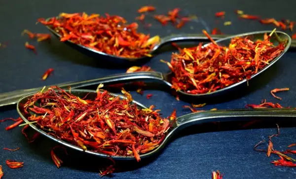 Trois cuillères remplies de filaments rouge orangé, une épice précieuse.