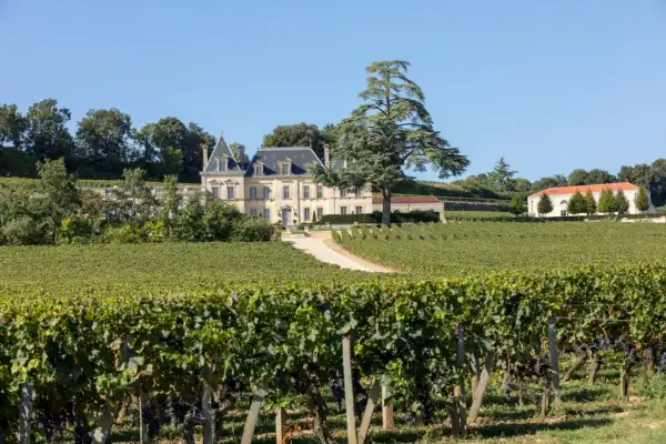 Château majestueux entouré de vignobles verdoyants, idéal pour le tourisme viticole. Un grand cèdre domine le paysage.