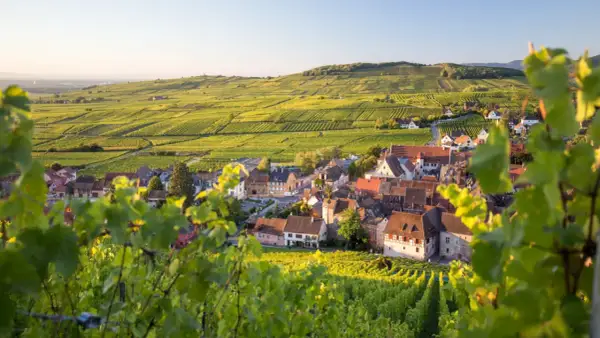 Vue d'un village pittoresque sur la route des vins d'Alsace, entouré de vignobles verdoyants baignés de soleil.