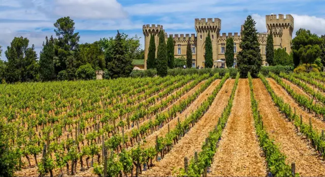 Vignoble luxuriant devant un château médiéval, évoquant la grandeur de Châteauneuf-du-Pape.